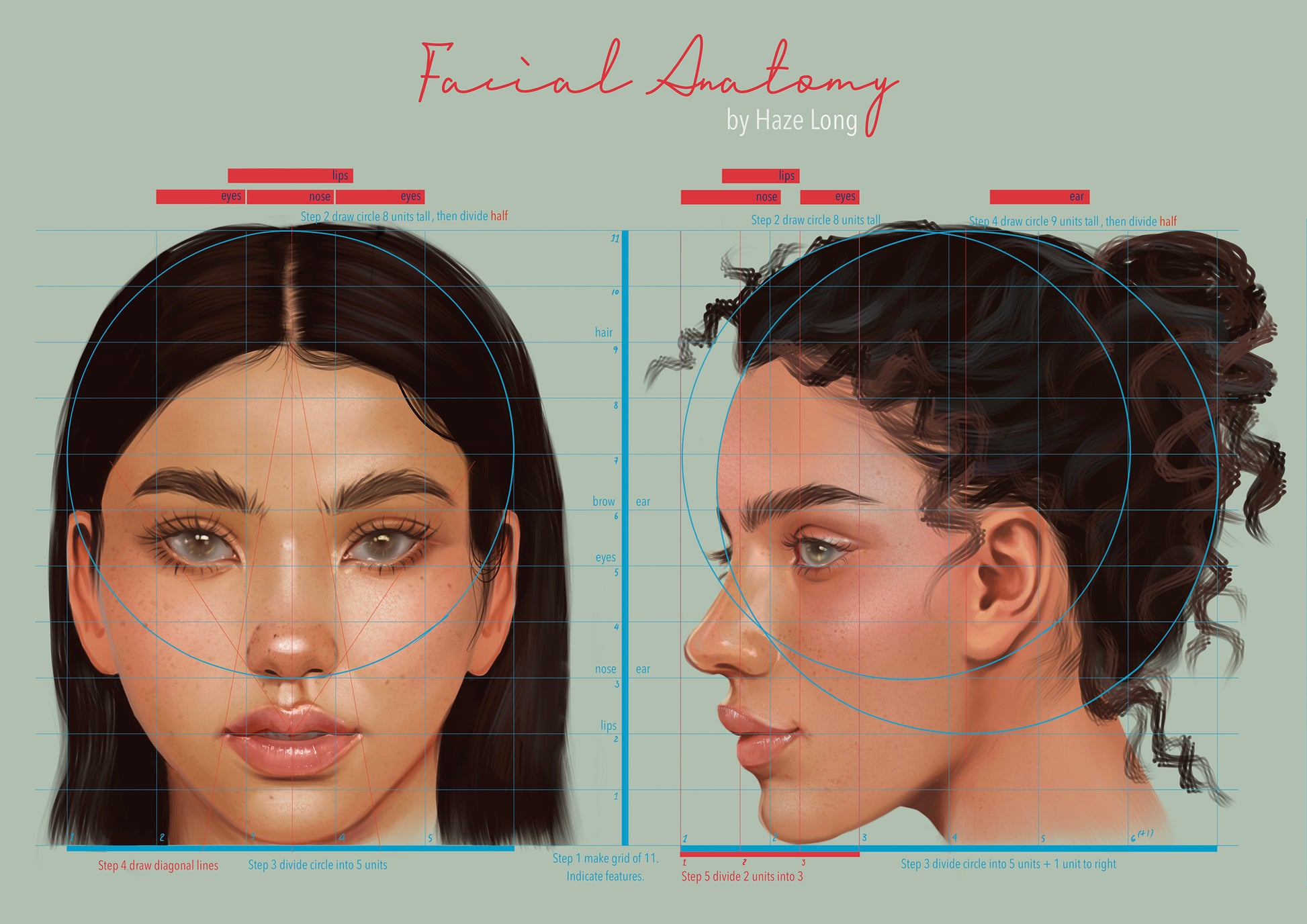 Facial Anatomy Reference Print - Haze Long Fine Art and Resources Store